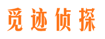 大田出轨取证